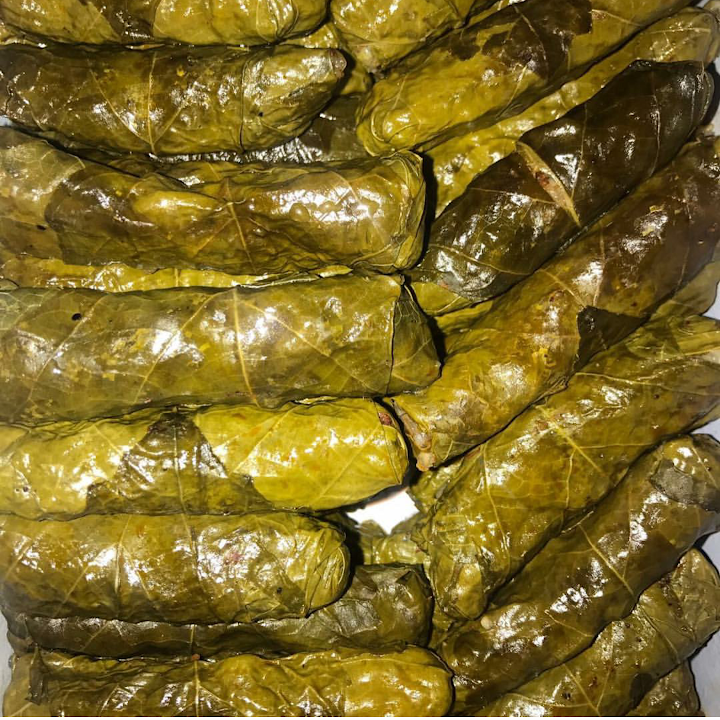 Fotoğraf 12