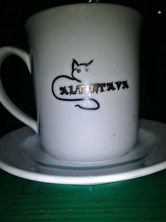 Fotoğraf 15