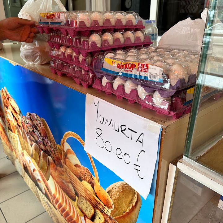 Yorum fotoğrafı 4