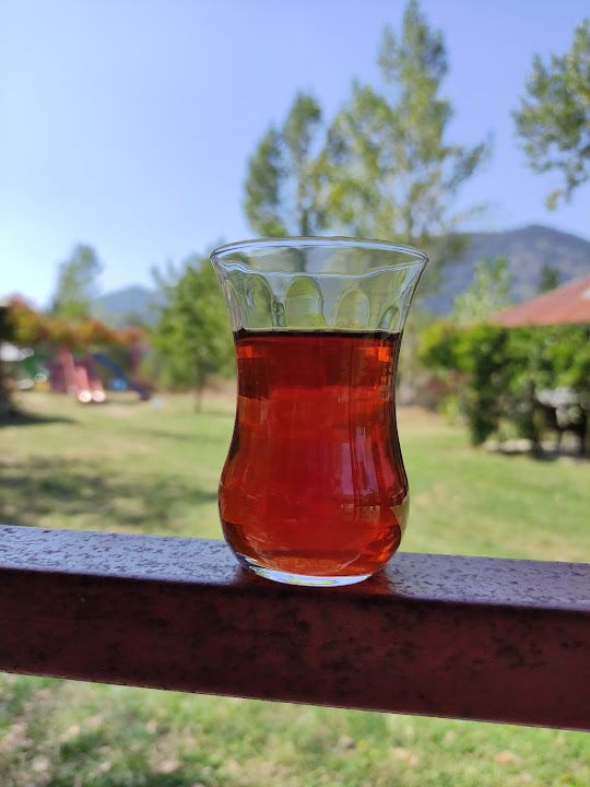 Fotoğraf 12