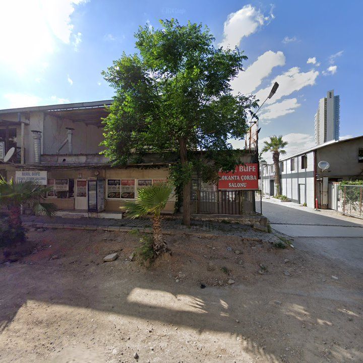 Fotoğraf 10