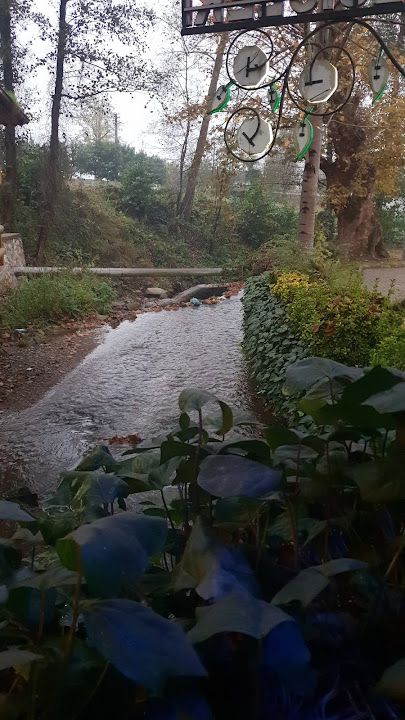 Fotoğraf 45