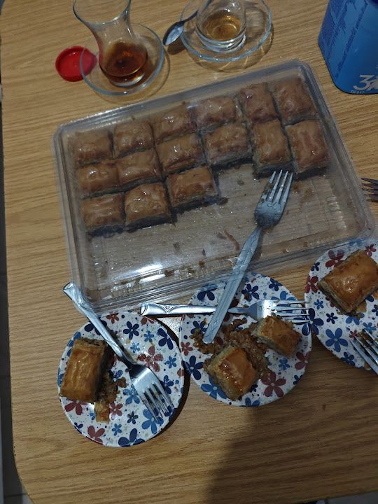 Fotoğraf 15