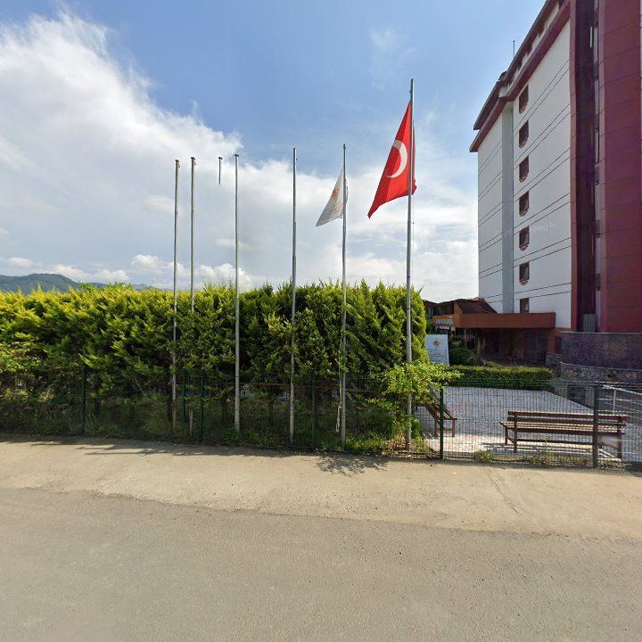 Ala Balık Et