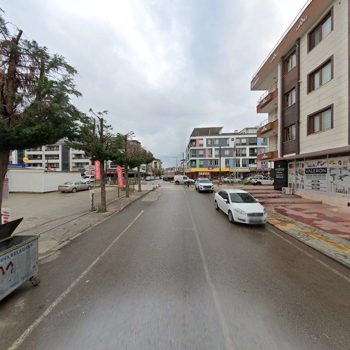 Fotoğraf 5