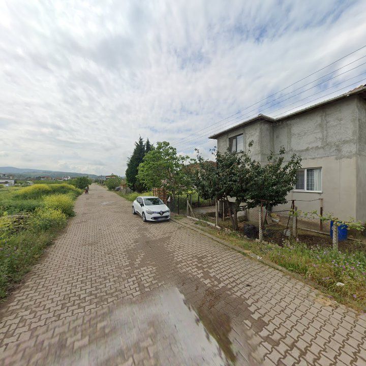 Fotoğraf 6