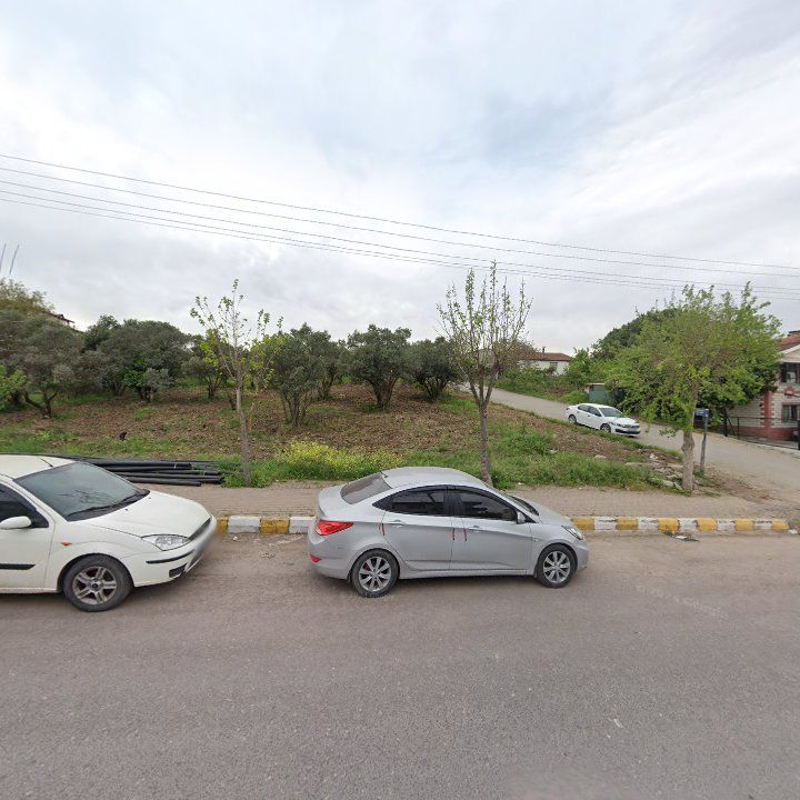 Fotoğraf 3