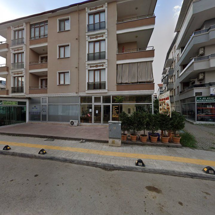 Altinova balik lokantasi canli balik satis.