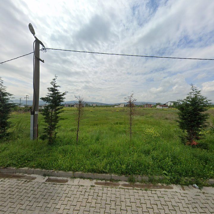 Fotoğraf 13