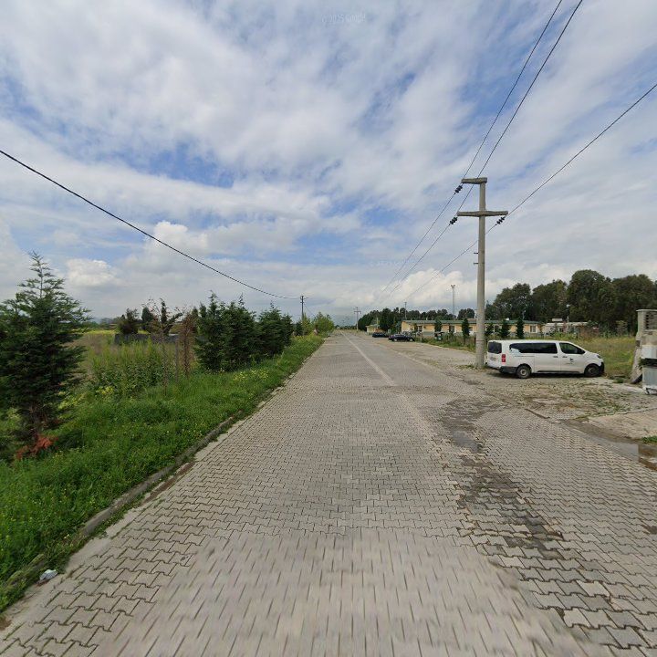 Fotoğraf 14