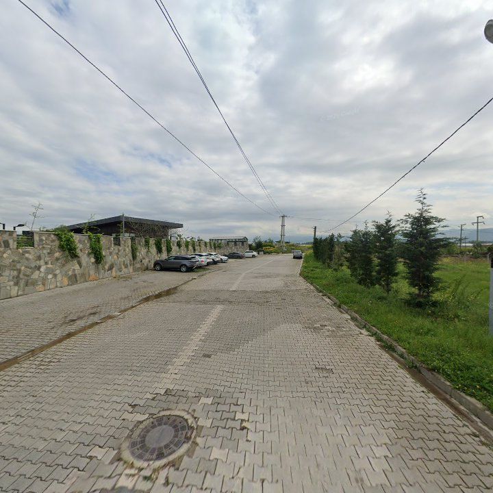 Fotoğraf 12