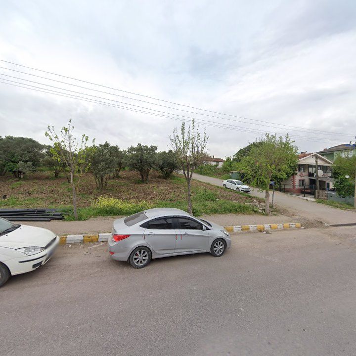 Fotoğraf 6