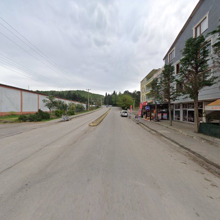 Fotoğraf 7