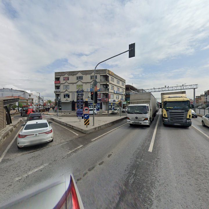Fotoğraf 12