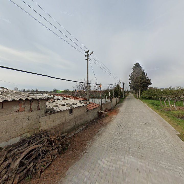 Fotoğraf 4