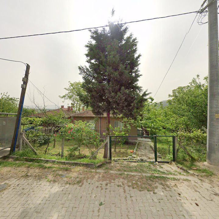 Fotoğraf 9