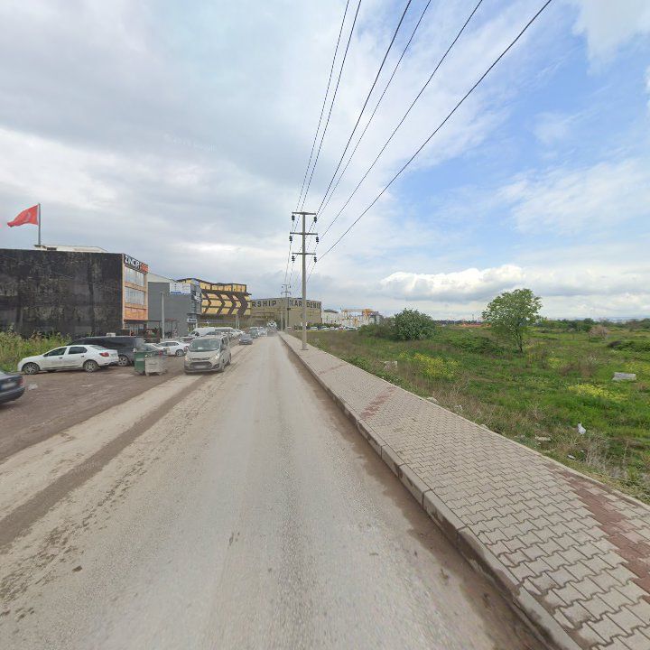 Fotoğraf 10