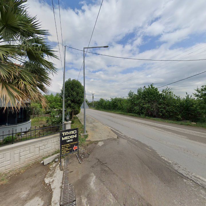 Fotoğraf 8