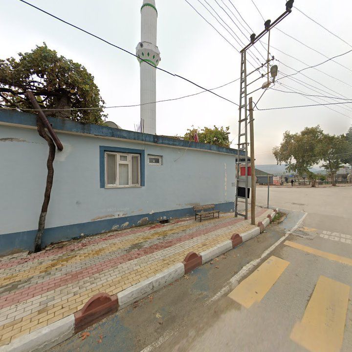 Fotoğraf 5