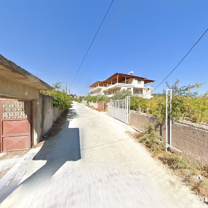 Fotoğraf 2