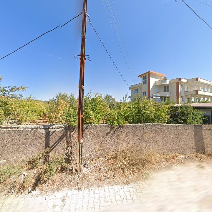 Fotoğraf 3