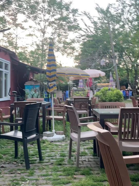 Fotoğraf 9