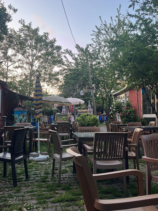 Fotoğraf 10
