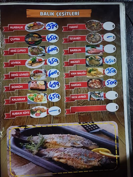 Fotoğraf 31