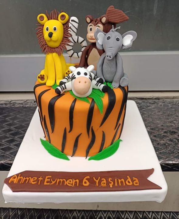 Fotoğraf 11