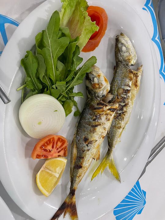 Fotoğraf 19