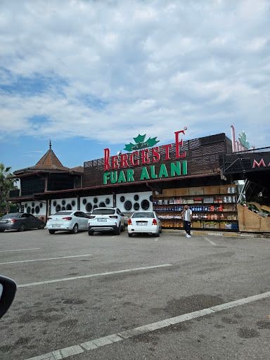 Yorum fotoğrafı 5