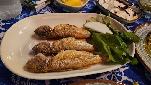 Yorum fotoğrafı 6