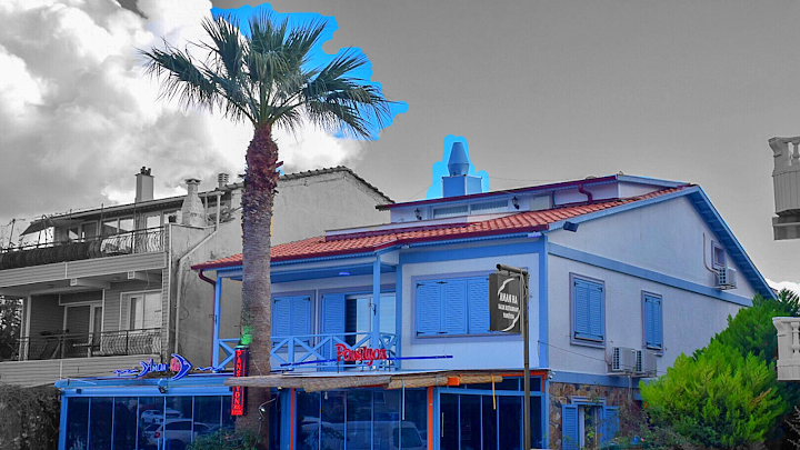 Fotoğraf 28