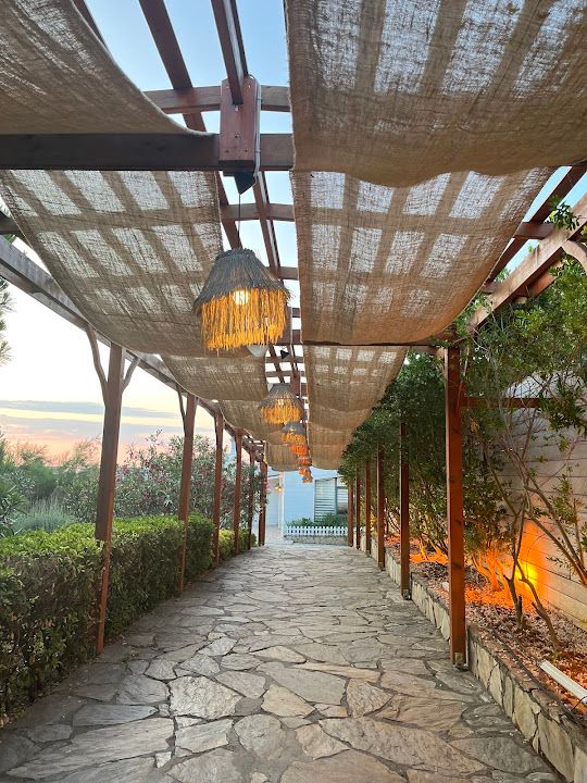 Fotoğraf 30