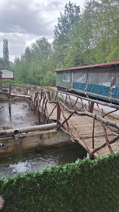 Fotoğraf 20