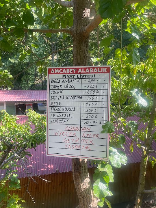 Fotoğraf 21