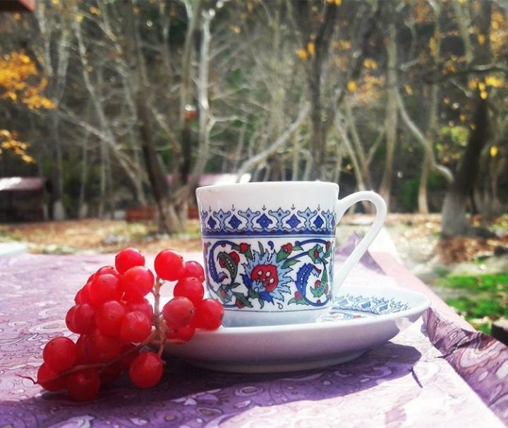 Fotoğraf 25