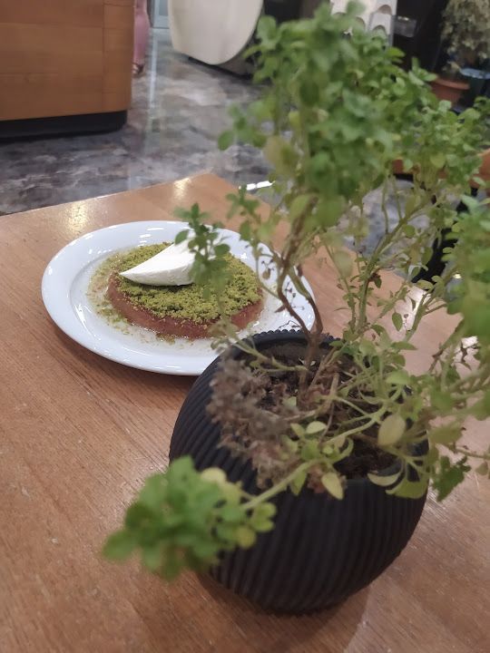 Fotoğraf 21