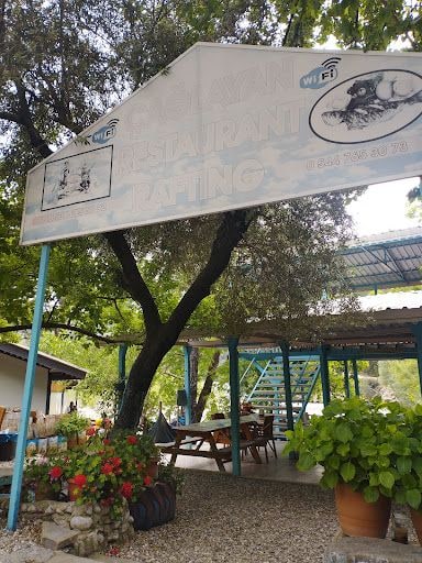 Fotoğraf 32