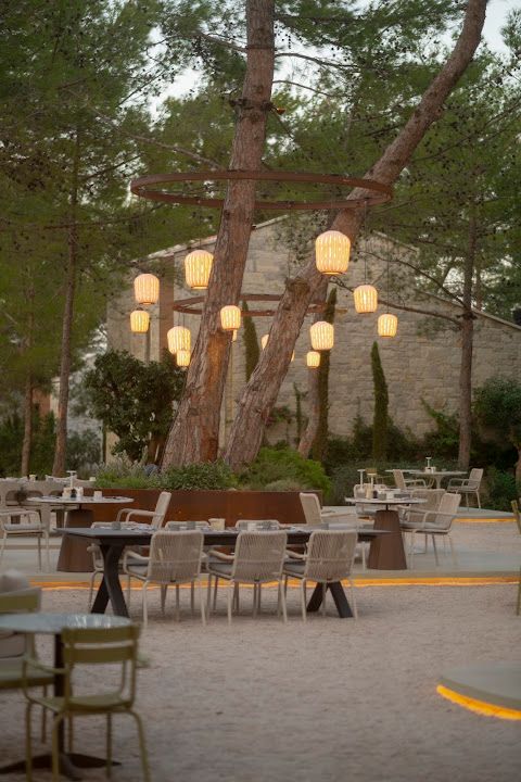 Fotoğraf 24
