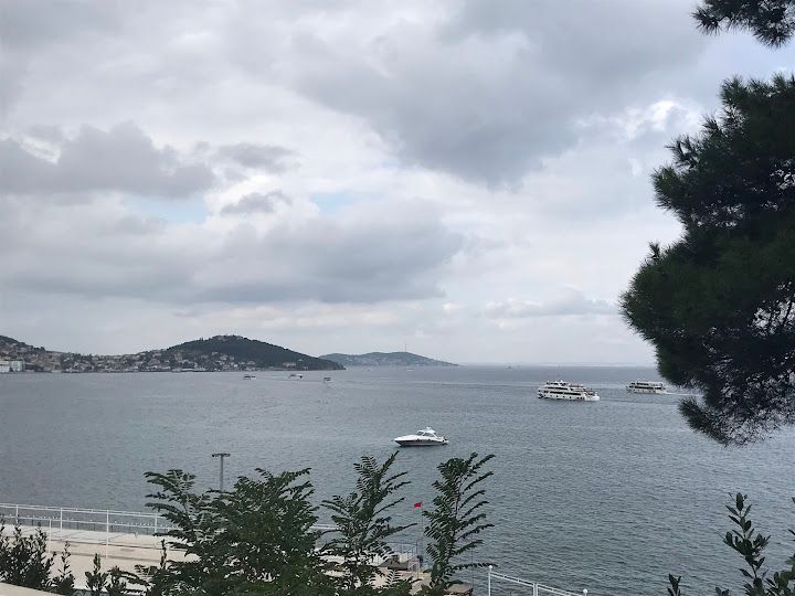 Fotoğraf 40