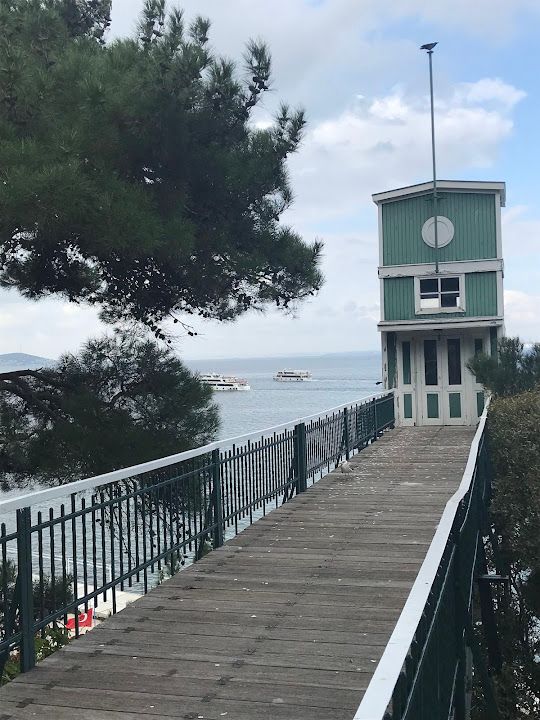 Fotoğraf 41