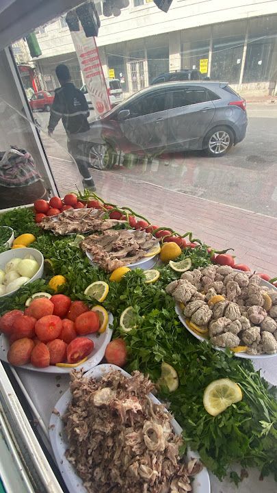 Fotoğraf 10