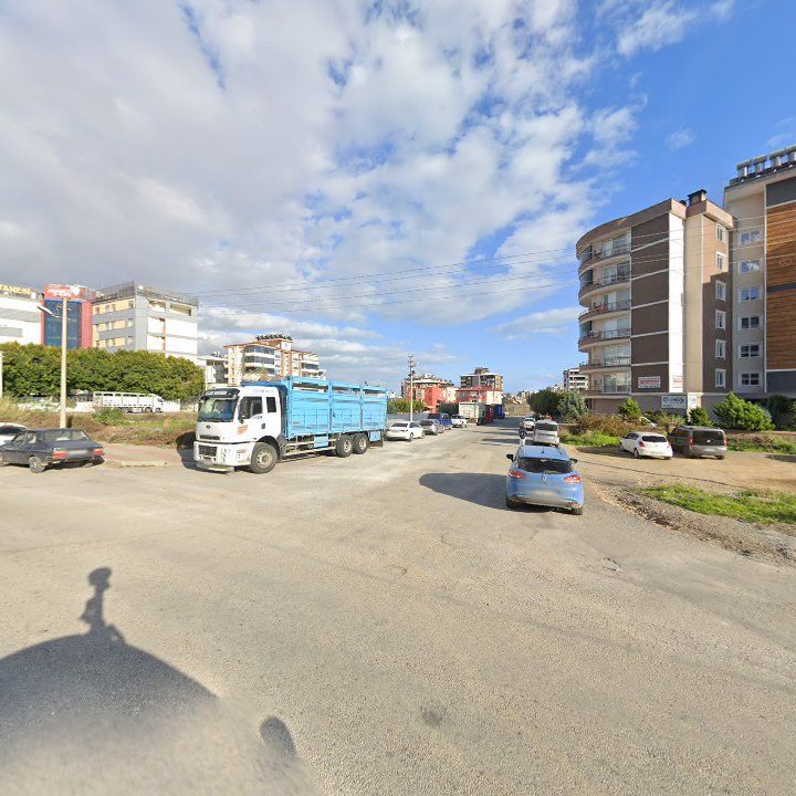 Fotoğraf 3