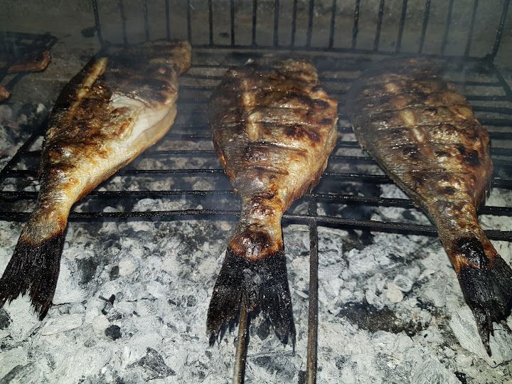 Fotoğraf 20
