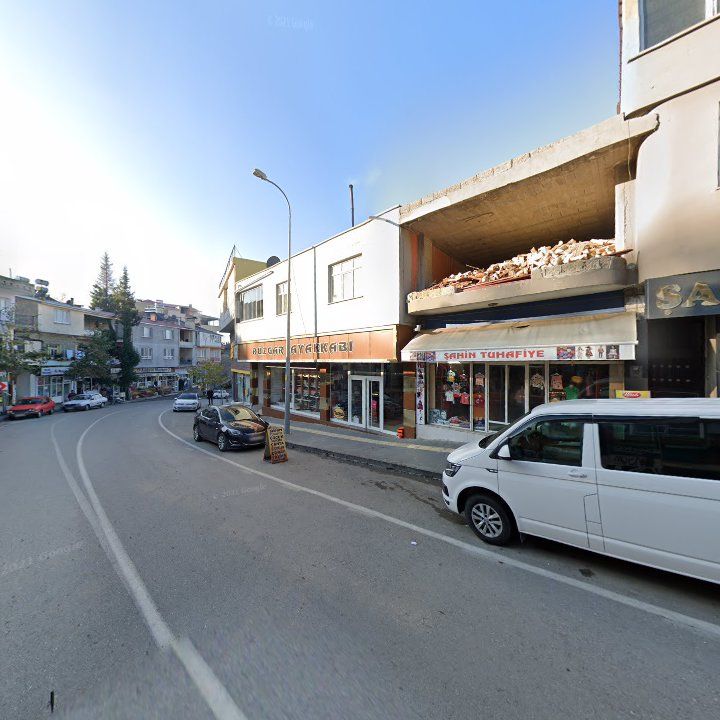 Fotoğraf 8