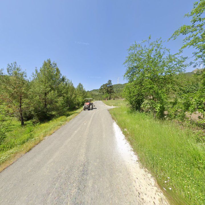 Fotoğraf 7