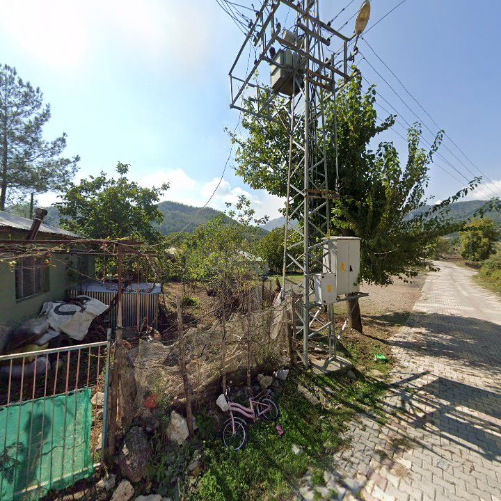 Fotoğraf 7