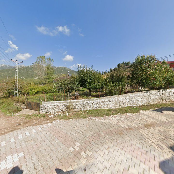Fotoğraf 9