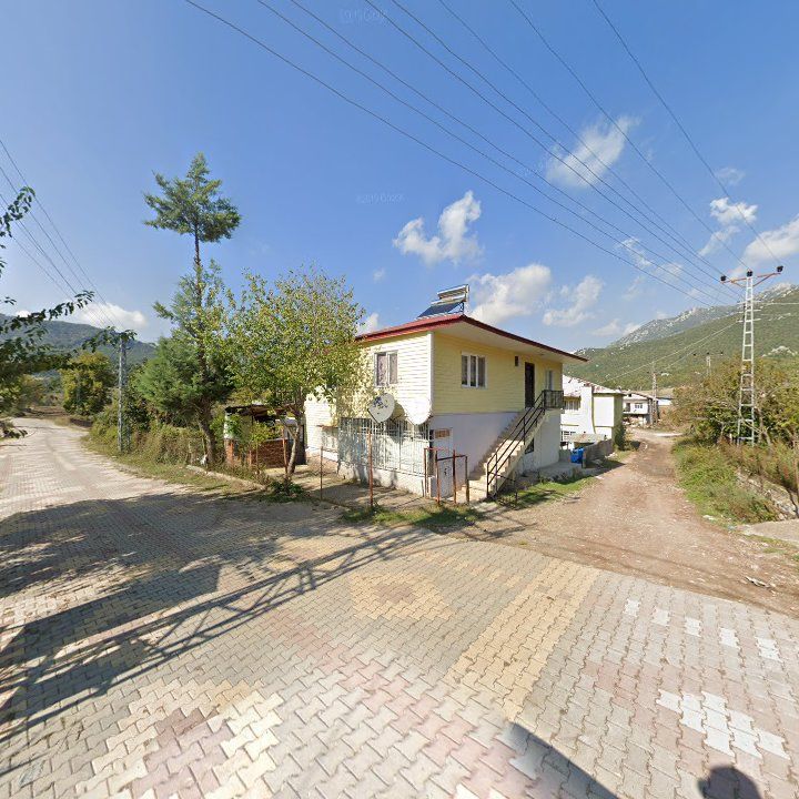 Fotoğraf 8